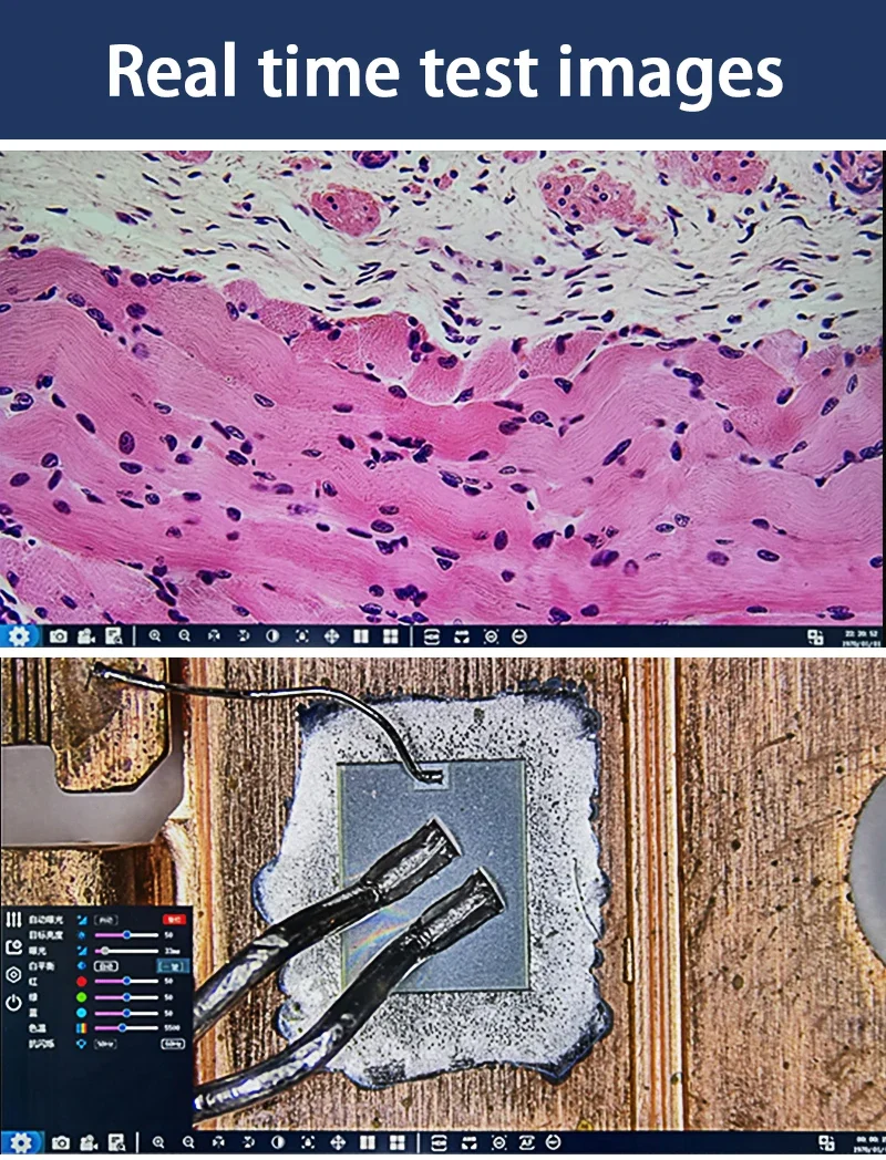 كاميرا 4K عالية الدقة IMX385 مستشعر 1/2 بوصة كاميرا مجهر CMOS HD إلى USB2025