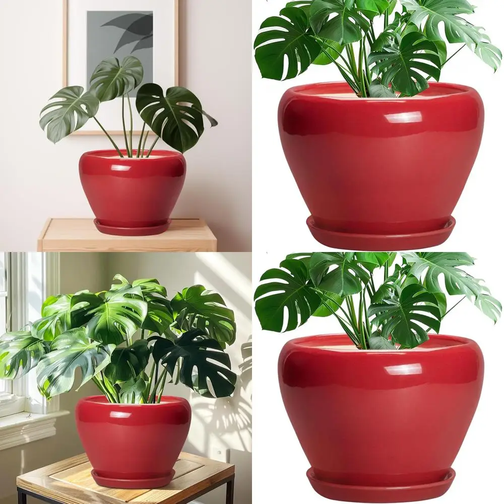 

10-дюймовый керамический горшок для растений с дренажем и блюдцем — современный круглый горшок для внутреннего и наружного использования, идеальный подарок для любителей растений, Ho