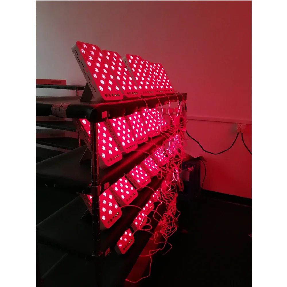 

2025 hot sale Portable Face Care Photonic Red Light Red Light Panels Therapy Hair Loss 660nm 850nm CE
