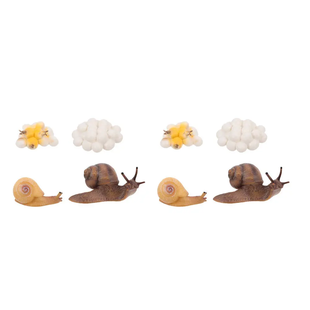2 juegos de decoración del ciclo de crecimiento de caracol, adorno educativo del ciclo de vida para niños, juguete de desarrollo cognitivo, figuras de animales