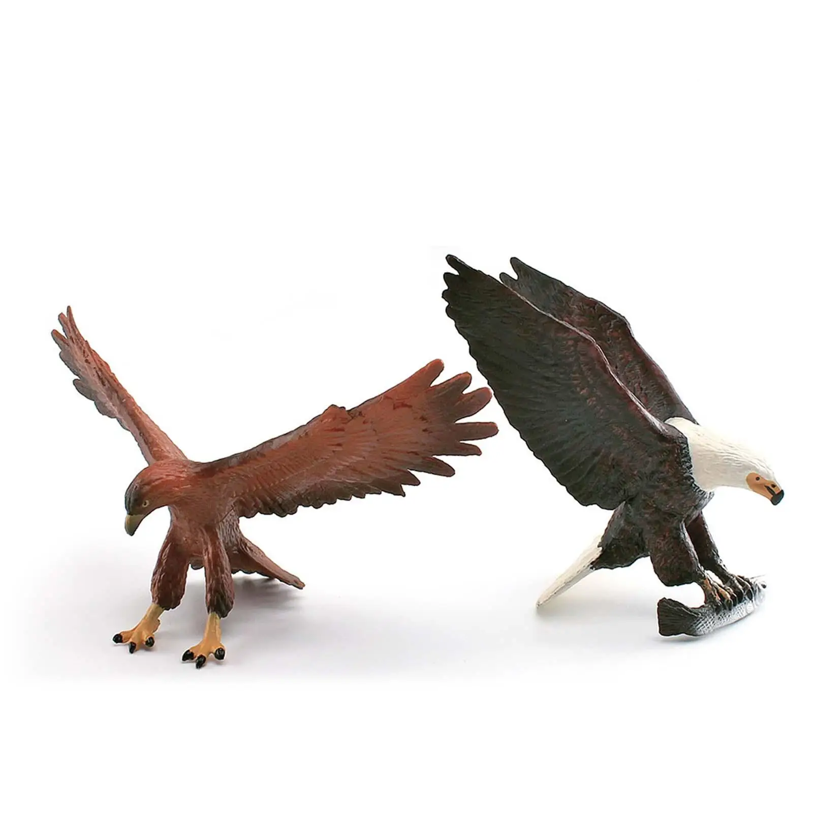 Animal Bird Figure Simulation Eagle Educational Learning Toy Model Toy Wildlife