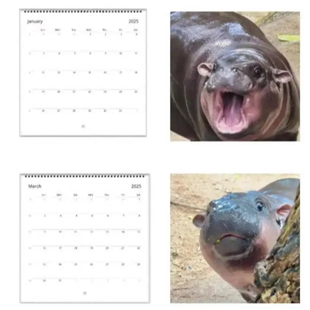 2025 nuevo calendario hipopótamo Moo Deng calendario de pared Deng calendario moderno hogar Moo decoración bonita planificador mensual escritorio O3E3