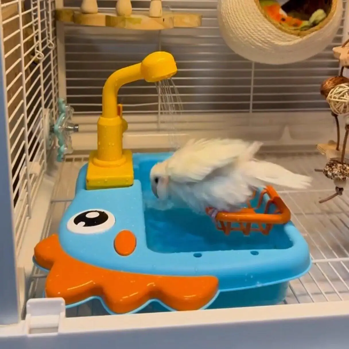 Multifunctional Shower Basin For Parrots Budgerigars Lovebirds Cockatiels; Bath Toy And Pet Supplies - view 2