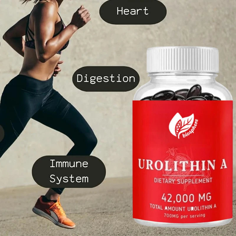 Urolithin A Supplement Capsules - Efficient Cell Support Supplement To Promote Healthy Aging and Microbial Balance
