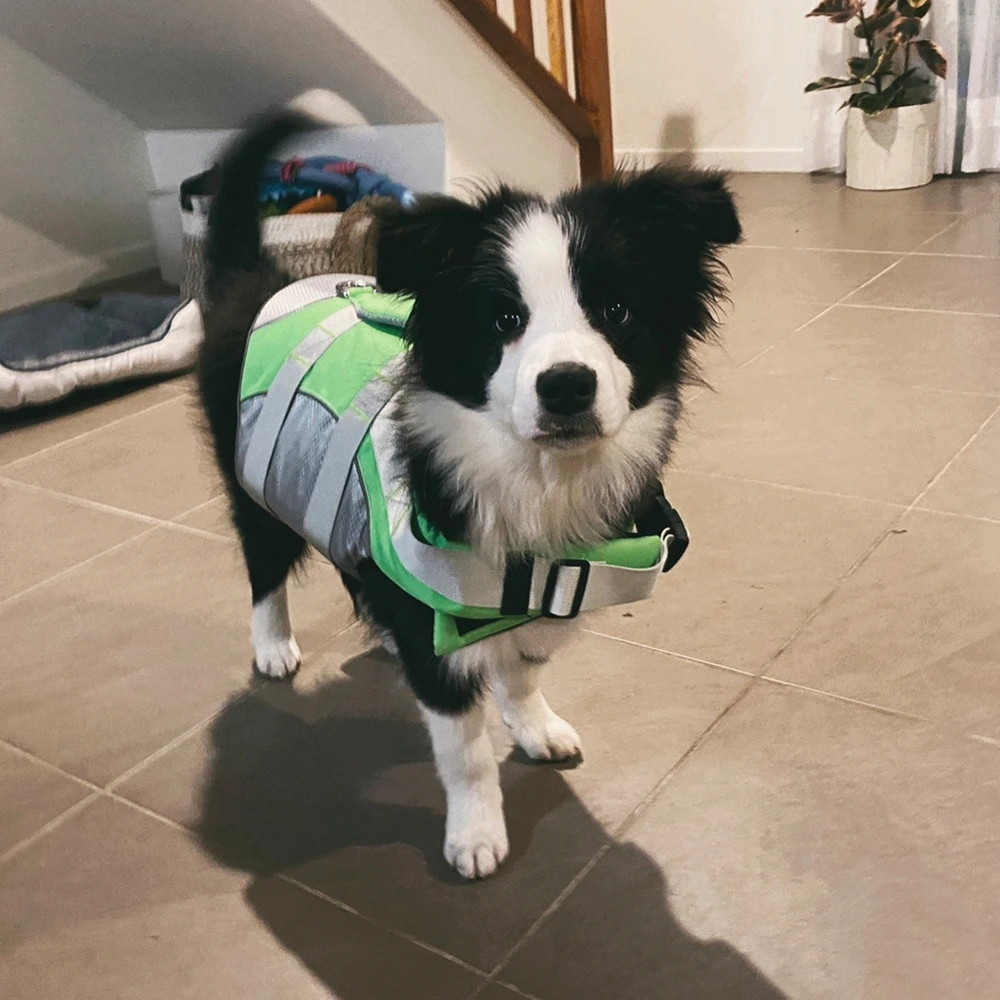 Pet Dog Life Jacket Reflective Adjustable Vest Clothes Summer Dog Swimwear Pet Clothes Puppy Safety Swimming Suit Dog Supplies