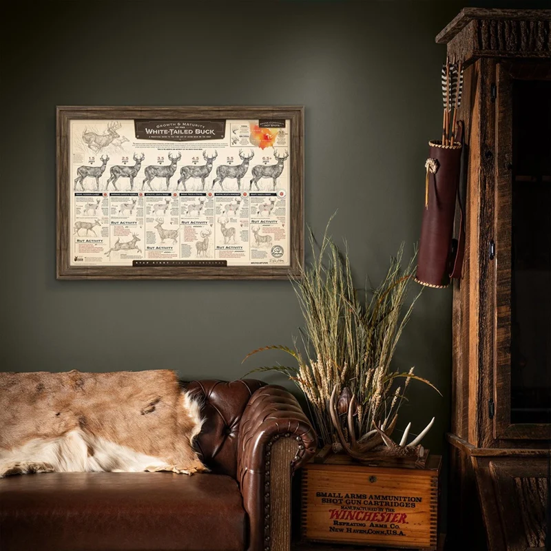 مطبوعات ورقية للنمو والتعليم ، باك أبيض الذيل ،"