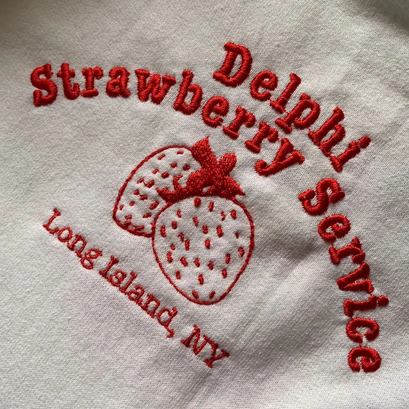 Delphi Strawberry Service Women Embroidered Sweatshirts Pink Loose Cotton Long Sleeve Jumpers Vintage Style Casual Pullovers