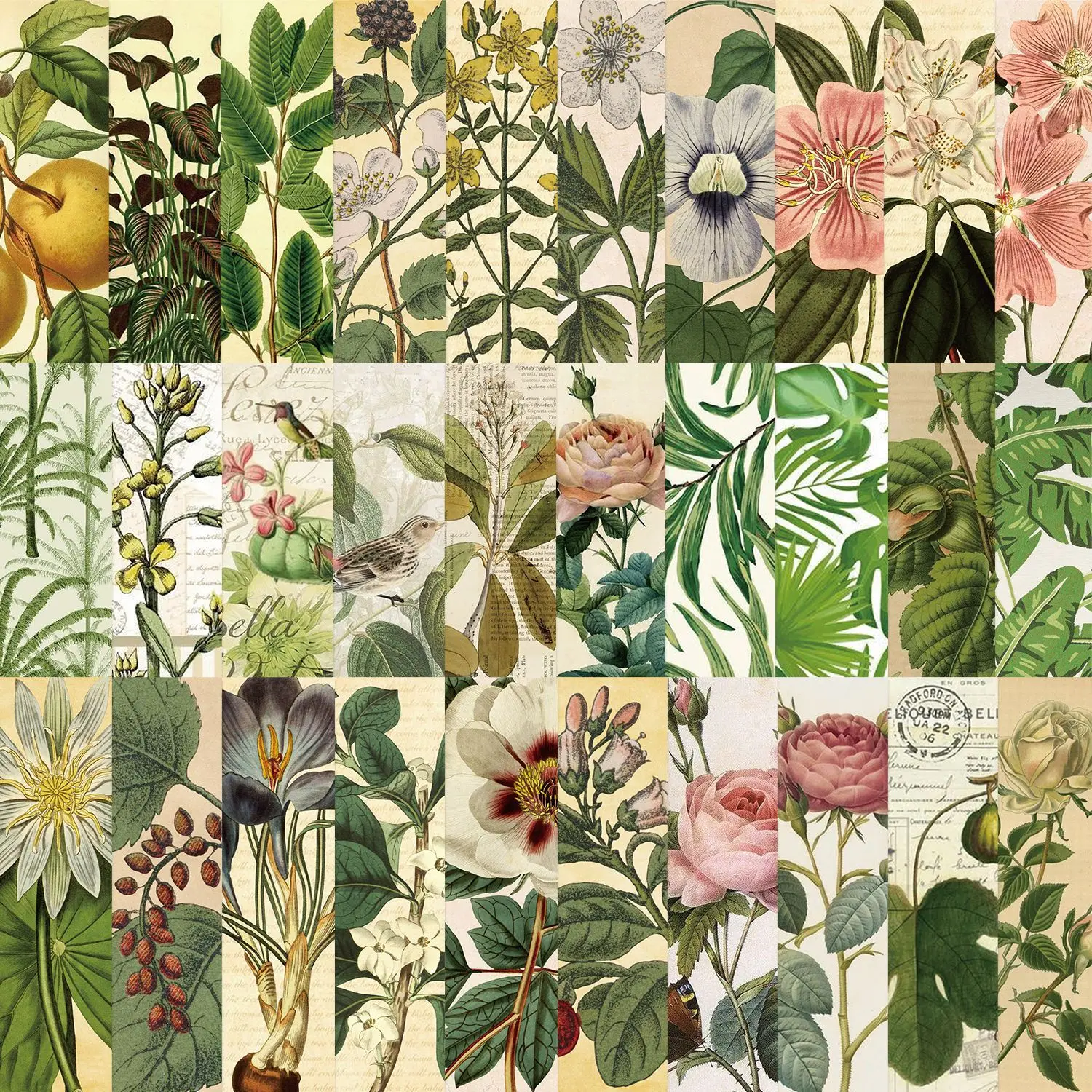 30Pcs/Set Vintage Botanical Bo - Dried Flower Bookmark 评论和价格