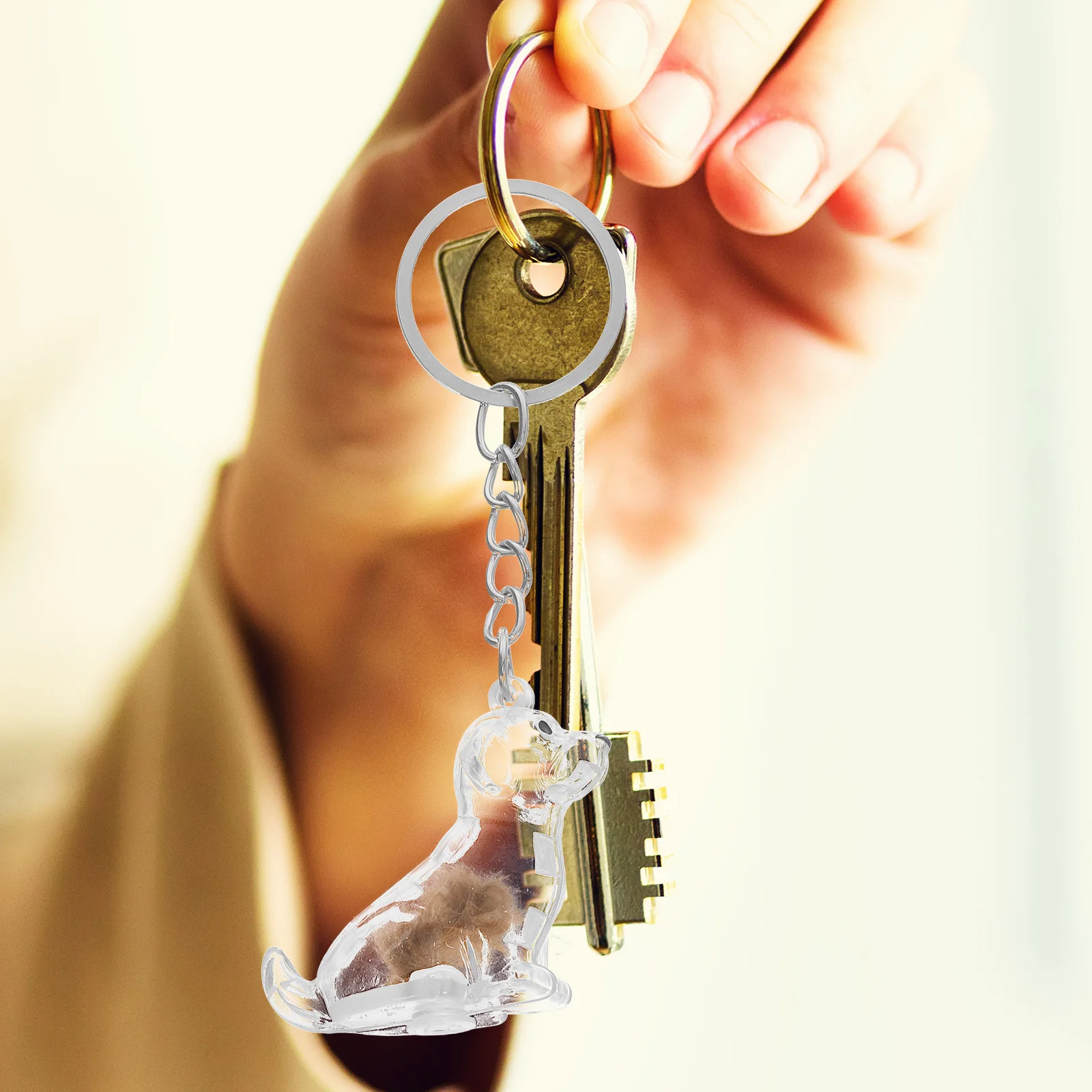 2Pcs Transparent Dog Hair Collector Keychain Pet Hair Keepsake Box Portable Storage Capsule Memorial Gift Organizer Pendant