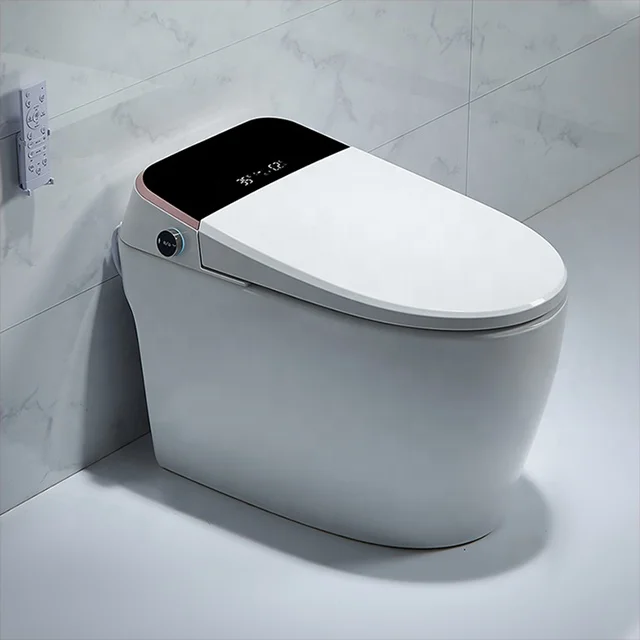 

European Bathroom Automatic Intelligent Wall Mounted Smart Wc Toilet Bowl with Bidet Intelligent Closestool One Piece Modern