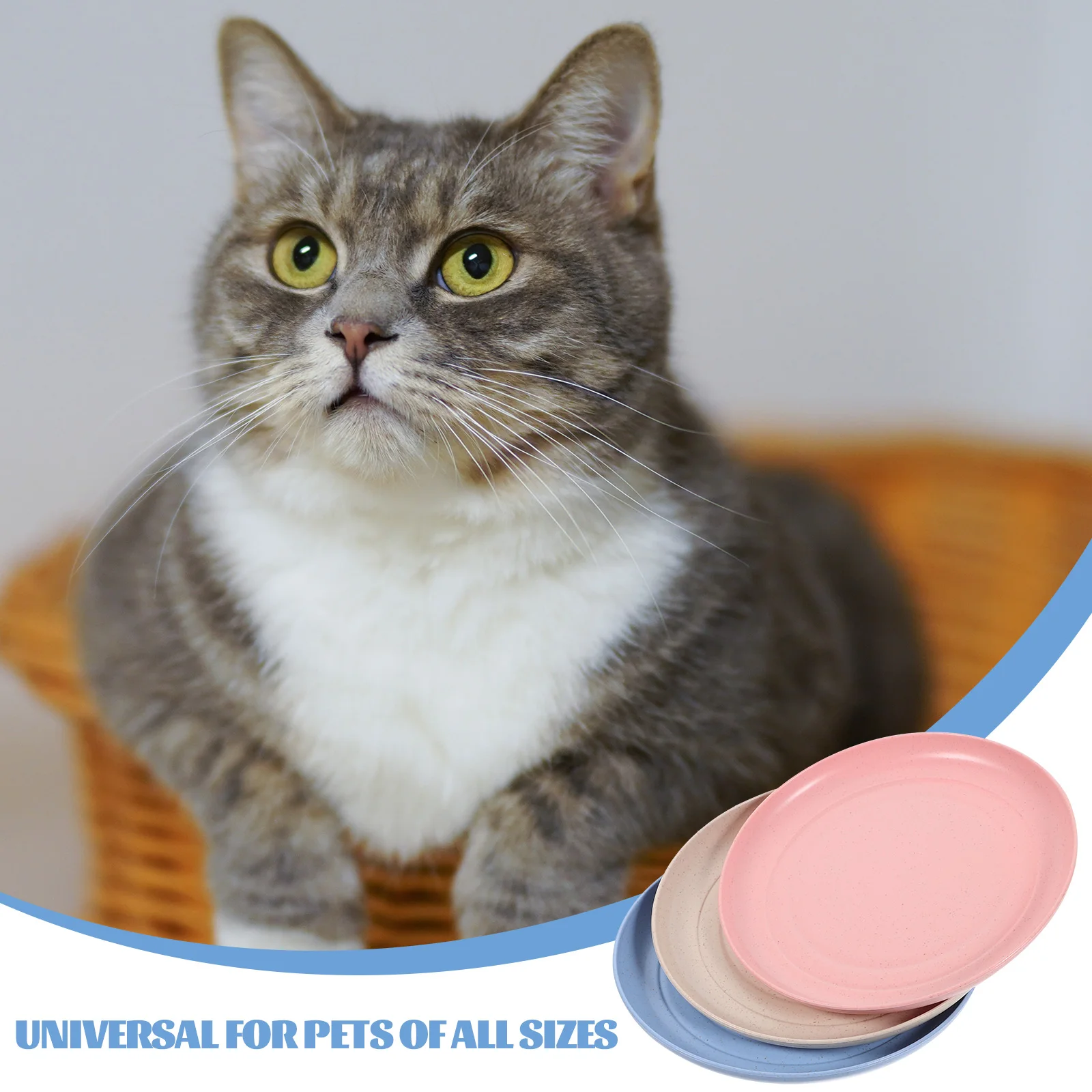 

6pcs Cat Bowls Shallow Cat Plates For Wet Food Plates for Kittens Short Leg Cats Wet Dry Feeding Dishes Pet Supplies