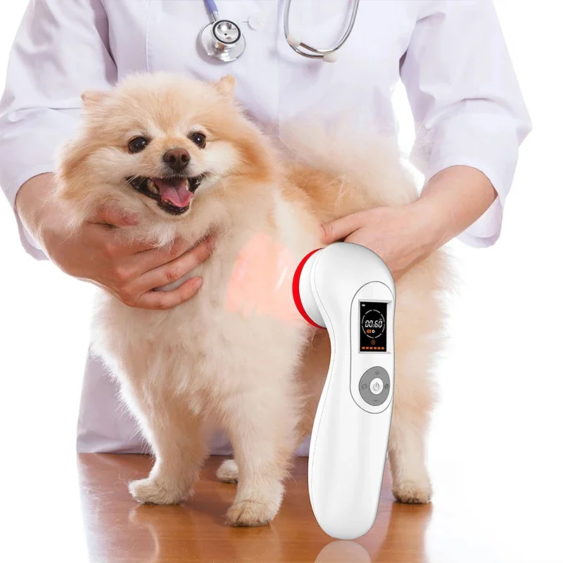 Medical Laser Therapy 650nm 808nm Infrared Laser Therapy Device For Horses cats dogs Clinic Treatment