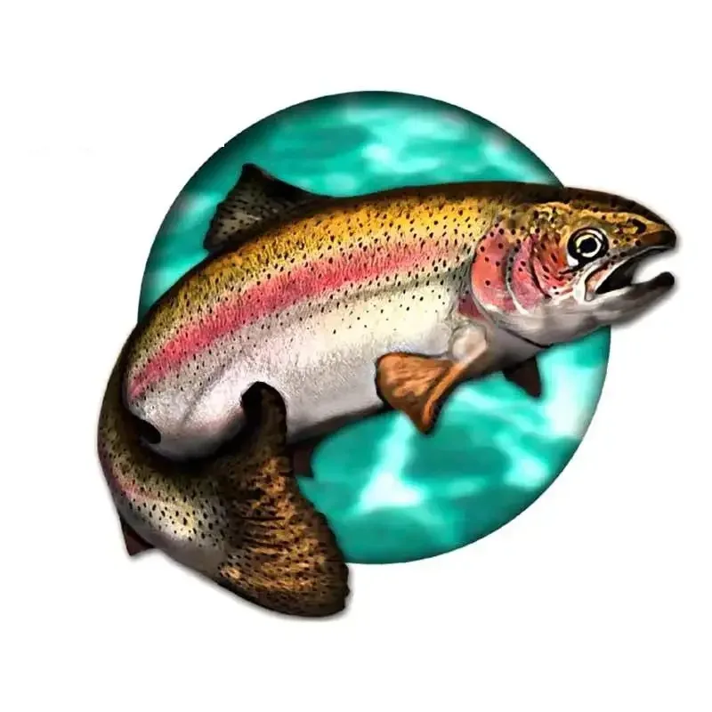 Car Stickers Wild Brown Trout Caravan Accessories Personality Sticker Products Exterior Parts PVC Stylish Decoration image 2