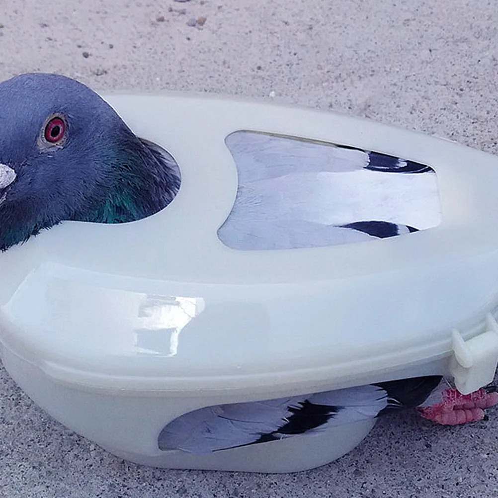 

6pcs Fixed Hollow Injection Durable Pp Material Bird Injection Stand Racing Pigeon Supplies Feeding Holder Bird Fixed Frame