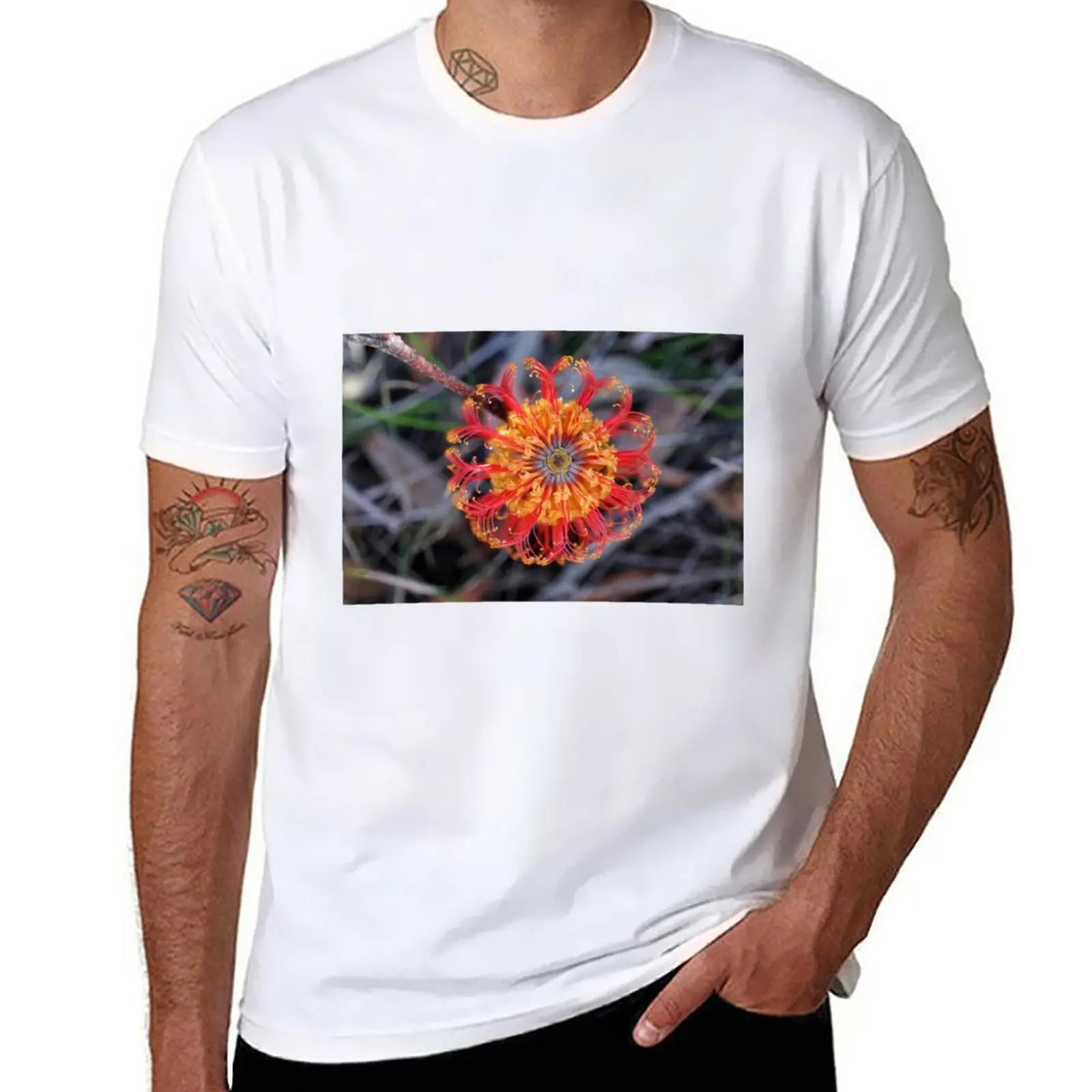 New Banksia ericifolia - Heath-leaved Banksia T-Shirt Short sleeve tee t shirt man sweat shirt mens t shirts casual stylish