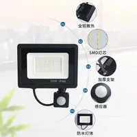 Led Flood Outdoor Motion Sensor Light 220V10W 20W 30W 50W 100W 150W Spotlight Detector Projector Lamps Waterproof Ip65 Led Focus