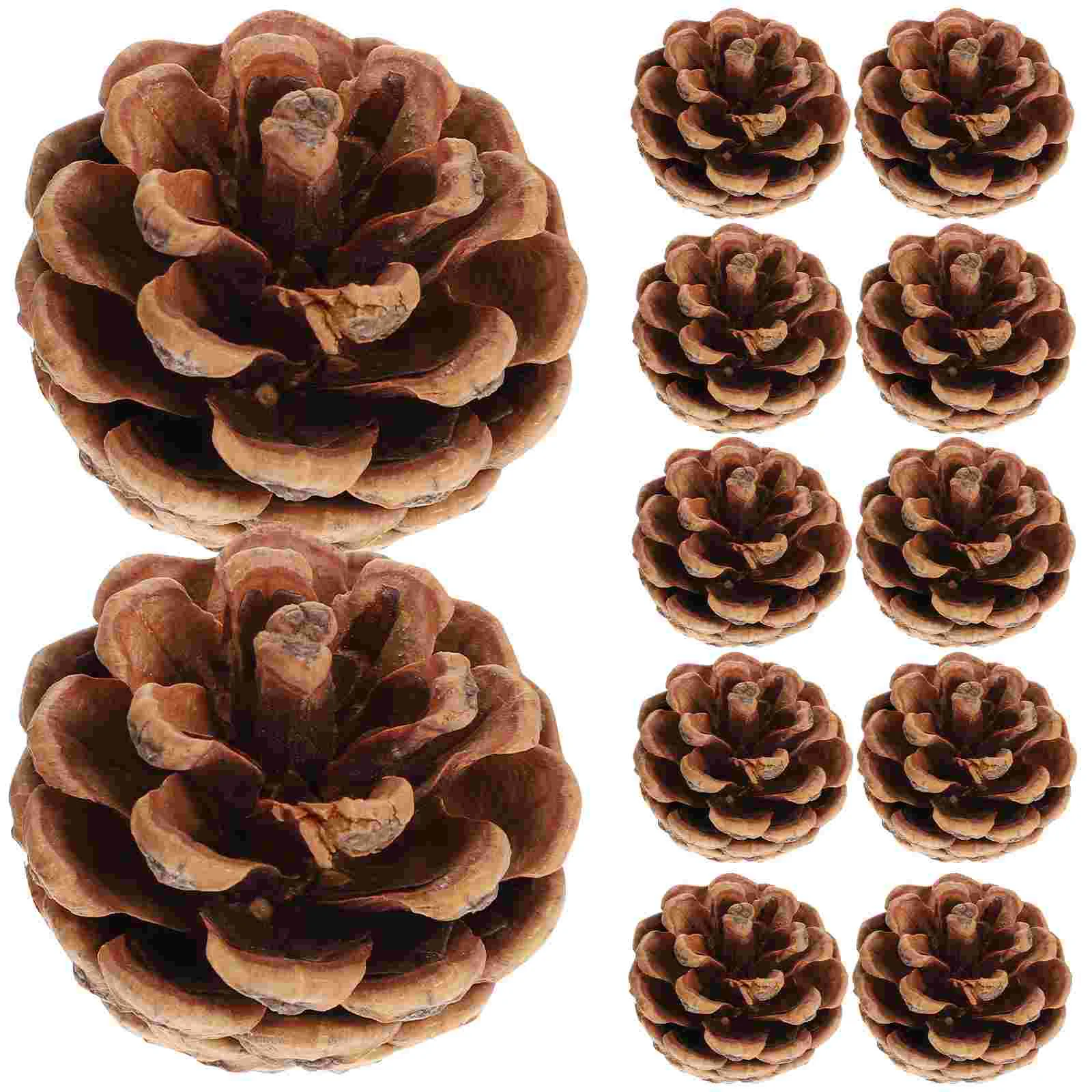 48 Pcs Pine Cone Crafts Christmas Cones Dried Flowers Ornament Hanging Ornaments