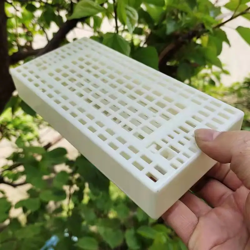 Multifunctional Nest Door Automatic Bee Sorter Dedicated Bee Box for Bee Collection and Bee Sorting