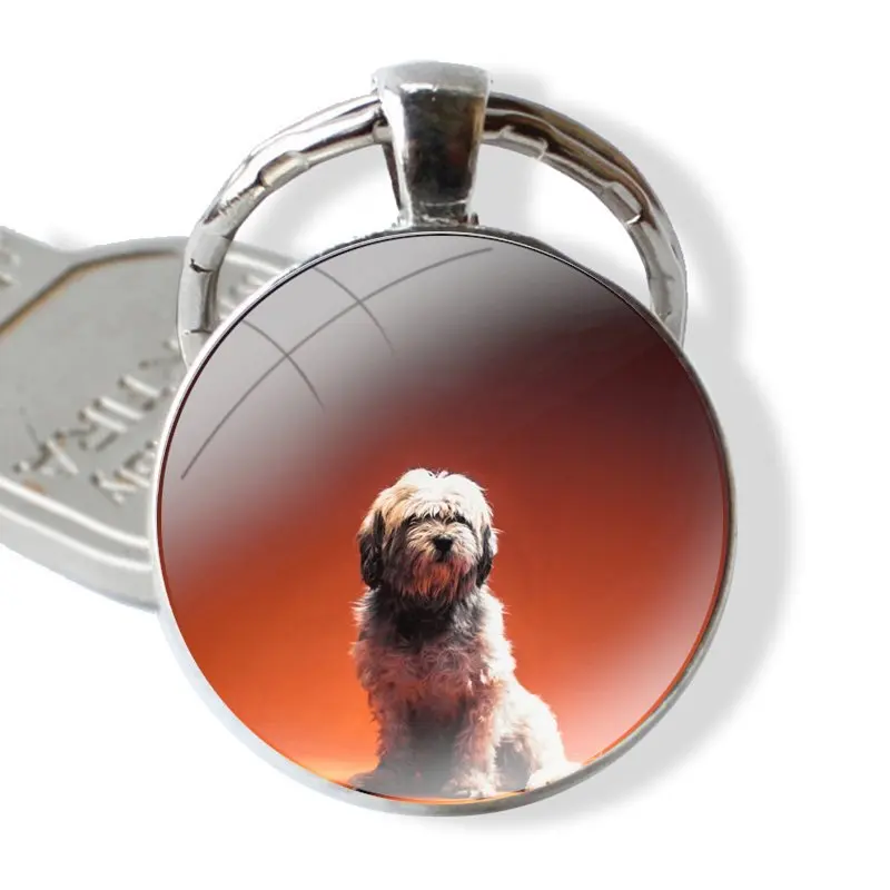 Keychain Glass Cabochon Metal Pendant Classic Men\'s Women\'s Keyring Shih Tzu Shitzu Dog Puppy Print