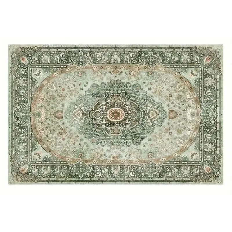 

Bohemian living room rugs washable dining room mats non-slip backing for office bedroom home decor rugs