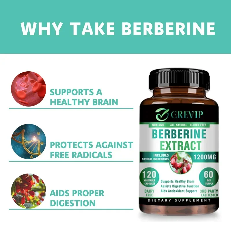 Berberine Extract - Supports Digestive System, Antioxidant, Enhances Cognitive Processes