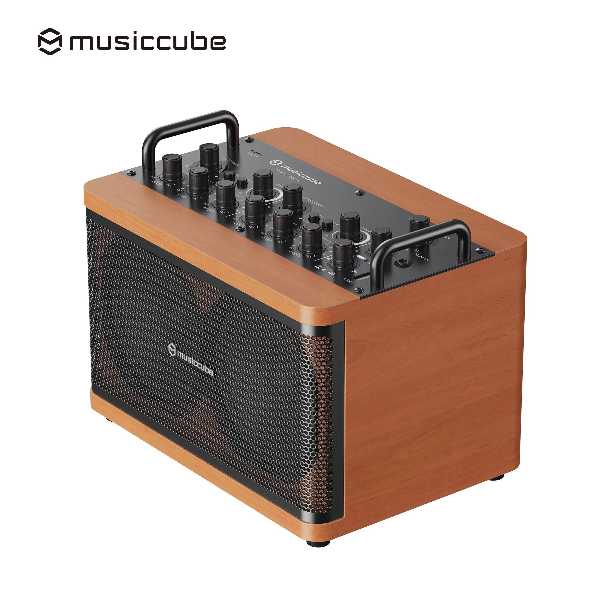 

D2MAX Electric Guitar Amplifier PA System Rechargeable Battery For AUX For Wedding Concert Church Outdoor Use