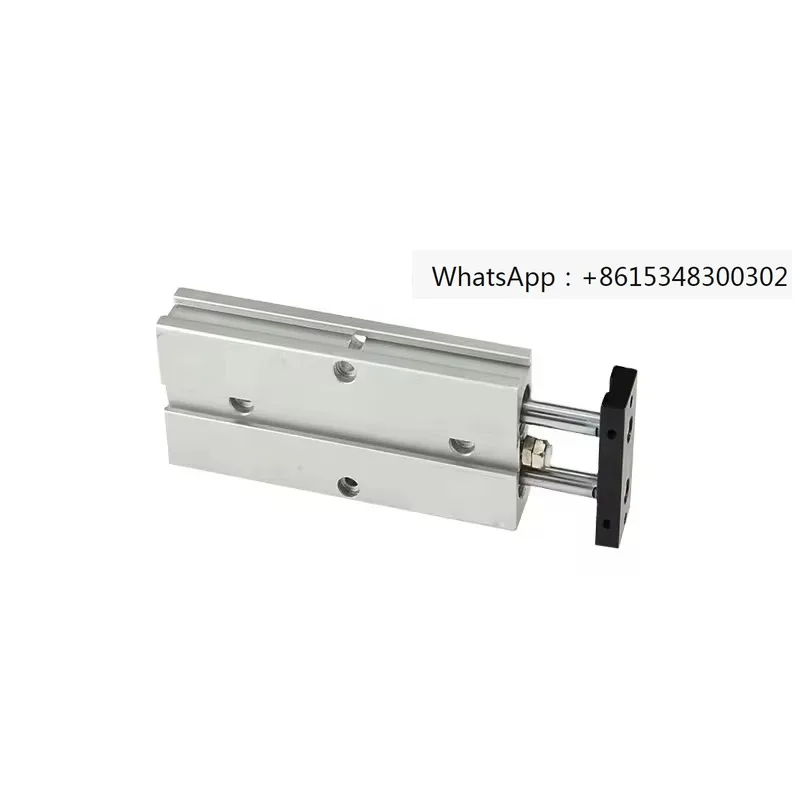 Type Tn Series Double Shaft Dual Rod Air Cylinder Double Acting with Magnet Type Pneumatic Cylinder tn20*100