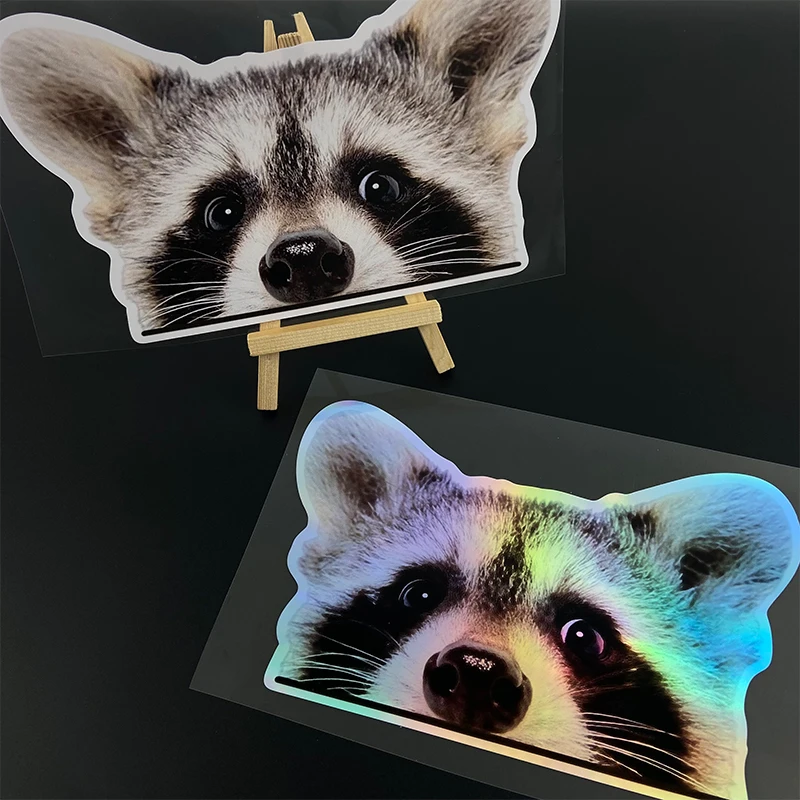 Pegatinas de vinilo duraderas para motocicleta, pegatinas impermeables para tanque de combustible de motocicleta, decoración para ventana de maletero de coche, 1 ud.