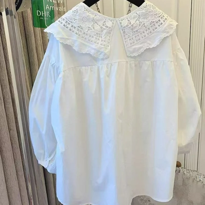 

Turn-down Collar Long Sleeves Lace Embroidered White Shirt Top