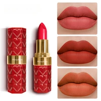 Lápices labiales mate de 18 colores, lápiz labial resistente al agua de larga duración que no se decolora, lápices labiales de terciopelo rosa y rojo desnudo, maquillaje cosmético
