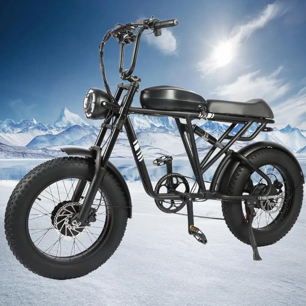 

Electric Motorcycles Bike For Adults 1000W+1000W Motor, 48V Fat Tire Mountain EBike, 20 Inch Tire Bicycle 20AH Removable Battery