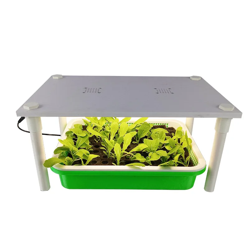 Soilless cultivation seedling box Hydroponic seedling machine Vegetable flower seed germination box