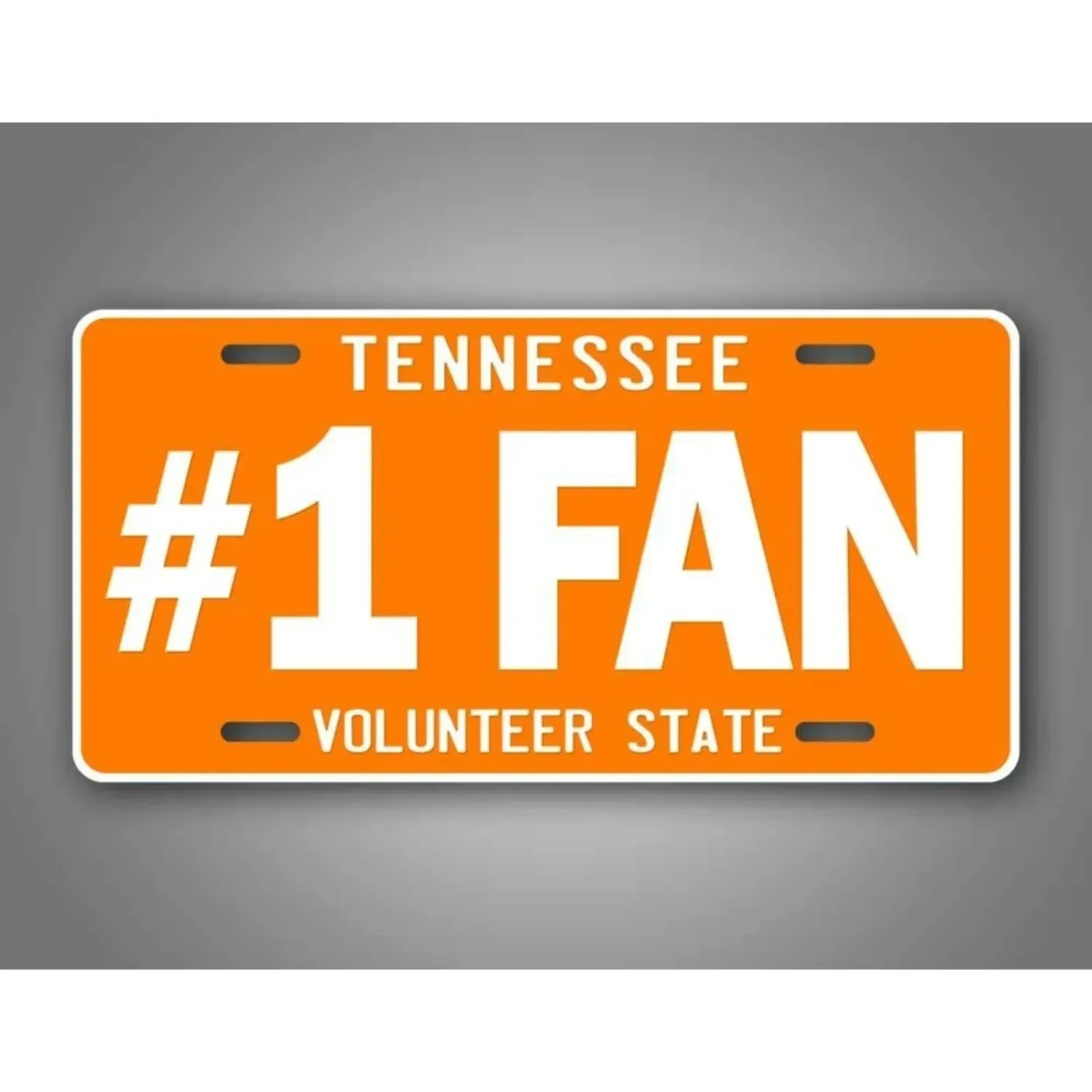Personalized Custom Tennessee Metal Sign 6x12 Inch, Vintage Dustproof Outdoor Wall Art Garage Bar Man Cave Decor