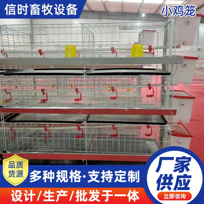 Bold encrypted chick cage brooding colorful pheasant breeding four-layer integrated small chicken cage household