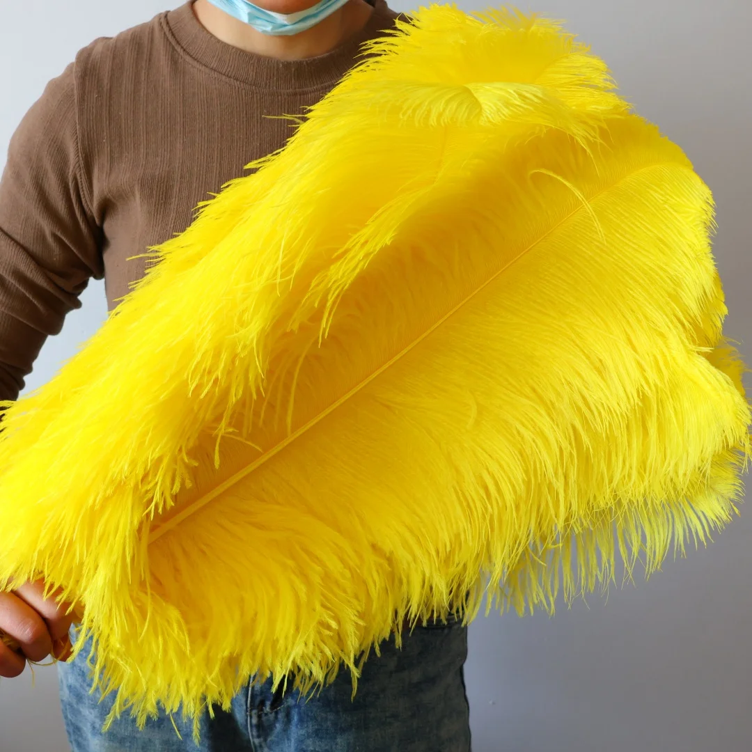 

10PCS Big Ostrich Feathers Yellow 65-70cm Craft Supplies Carnival Costume Diy Fashion Plumas Decorations
