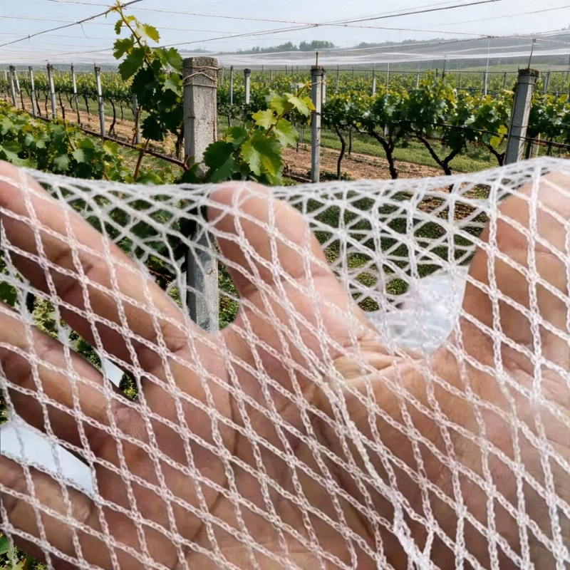 White 0.5 Mesh Plant Coverage Net Garden Bird Protection Net Vegetable Fruit Grape Protection Cover Fence Net No Knot Net