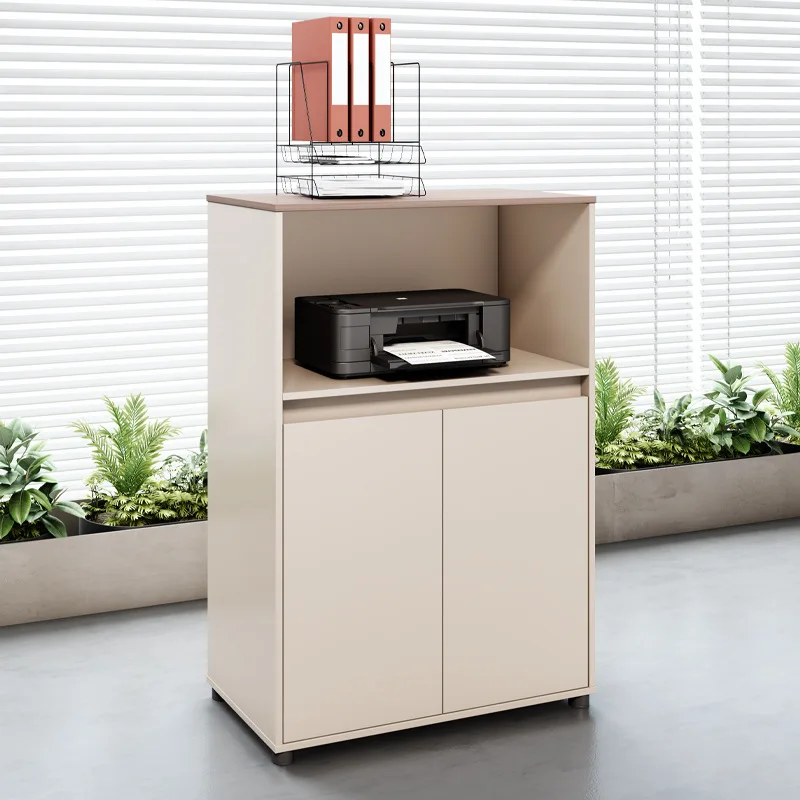 File Cabinet Short  Data  Simple Modern Floor Side Cabinet Wooden  Office Locker Office Partition Cabinet
