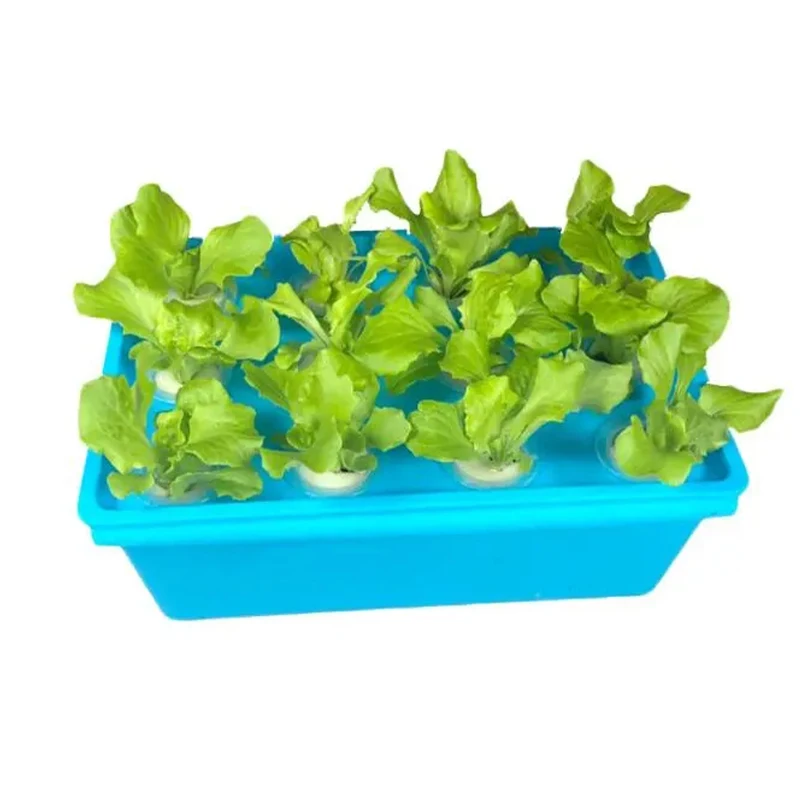 植物育成用種子スタータートレイ 温室苗床トレイ ガーデン苗床ポット