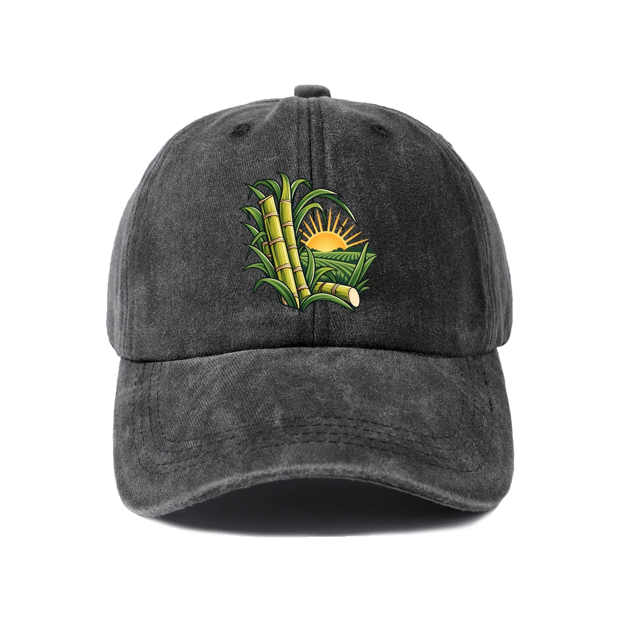 Desert Cactus Scene Graphic Vintage Washed Baseball Cap, Adjustable Unisex Dad Hat, Weekend Gift