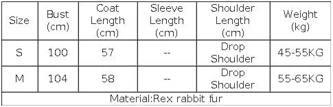 Warm New Women's Real Natural Rex Rabbit Fur Coat 2 Sides Wear Fur Coat Thick Long Sleeves Luxury Outerwear Jackets