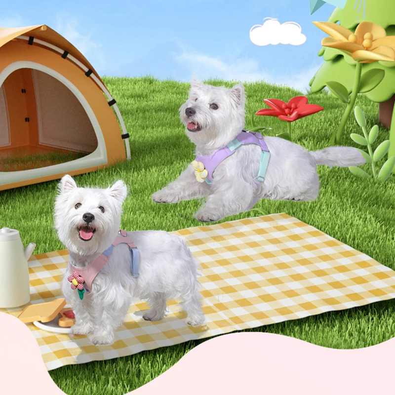Pet Dog Harness for Small Dogs Light Weight Soft Dog Harness Vest Non-Escape Embrace Puppy Harness with Leash for French Bulldog
