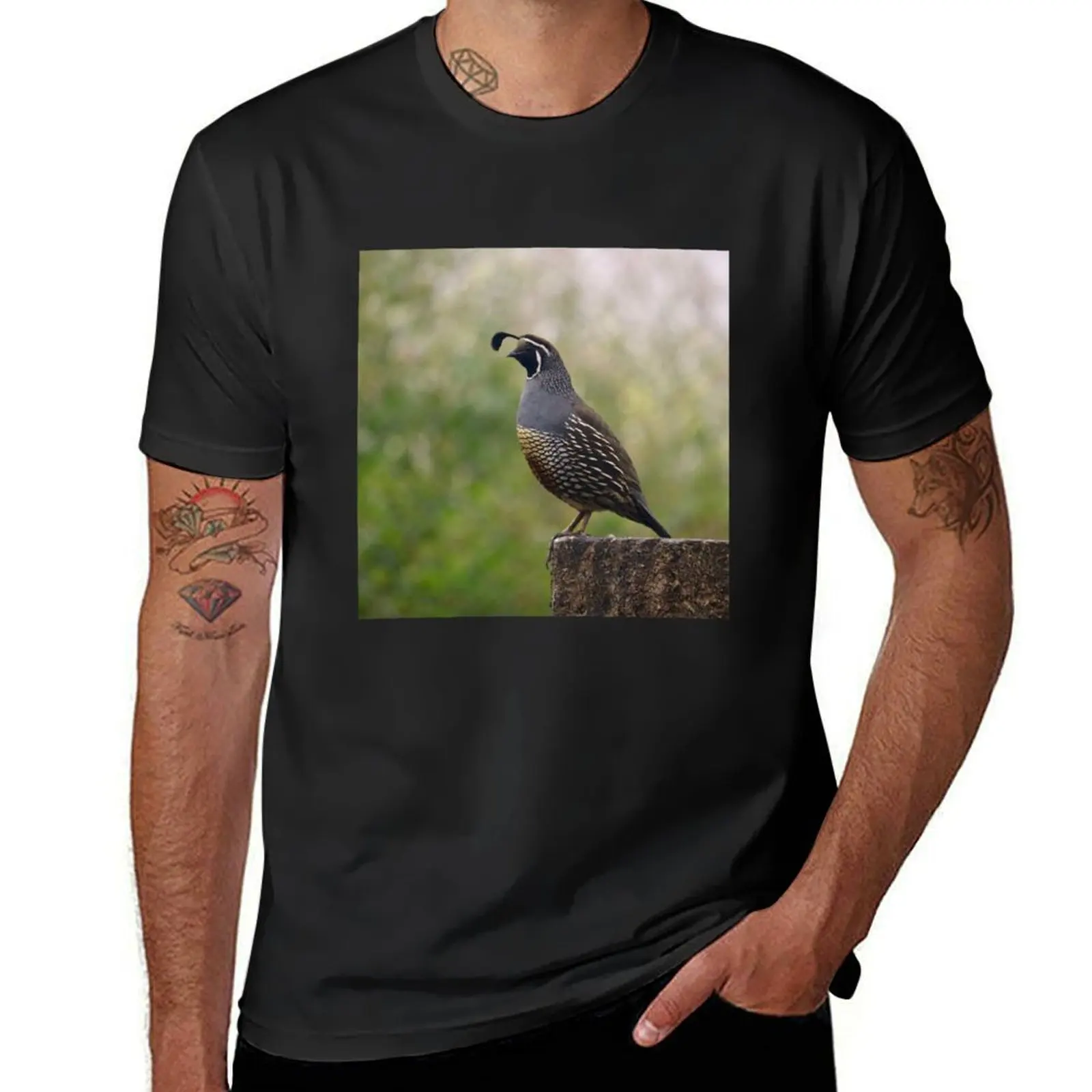 

California Valley Quail T-Shirt customs vintage clothes customizeds mens workout shirts
