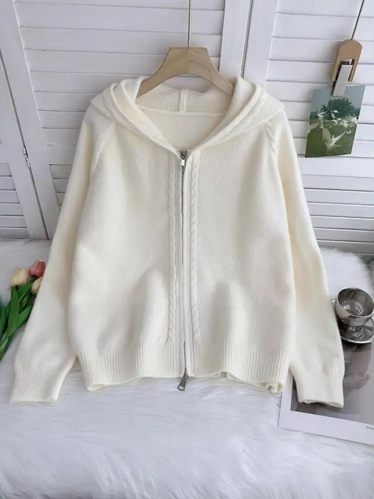 

Korean Version Solid Long Sleeve Hooded Knitted Cardigan Sweater For Women Autumn Winter Double Zipper Versatile Short Tops Chic