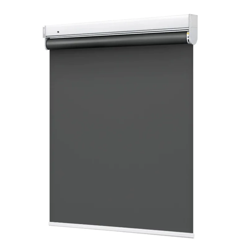 No Drilling Electric Roller Window Shade Full Blackout Good Privacy Customization Cord-Free for USA Canada Living Room Home Deco