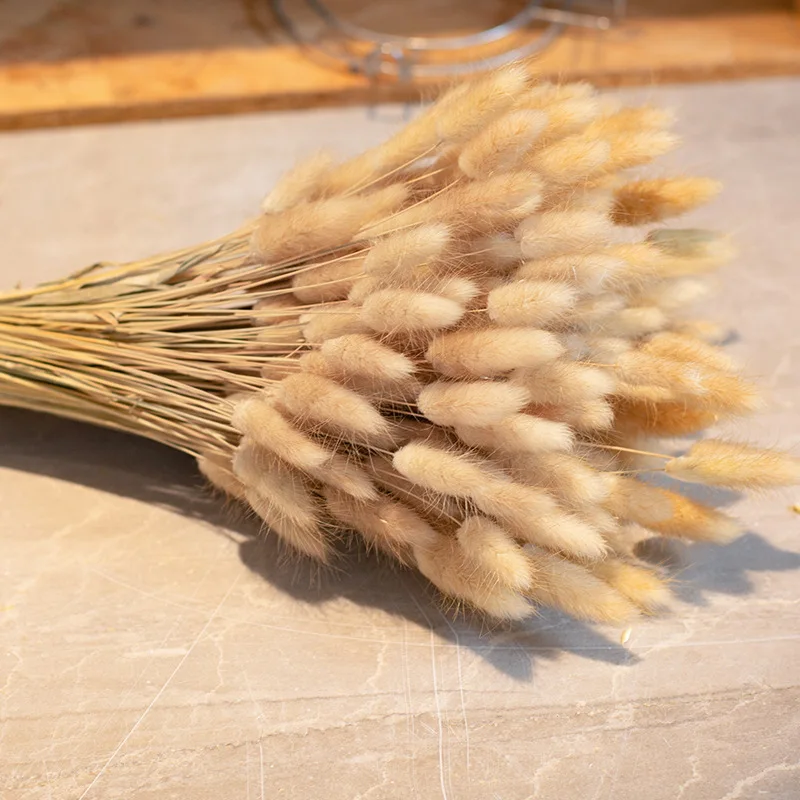 

15/50pcs Reed Grass For Room Decoration Natural Dried Pampas Rabbit Tail Grass Boho Party Home Decor for Flower Arrangements