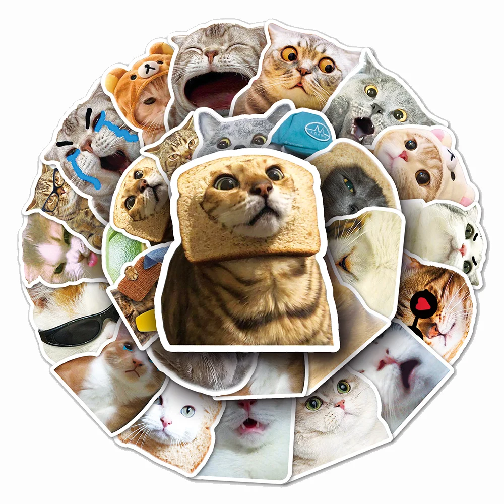 

10/30/50pcs Classic Animal Cat Meme Stickers Funny Cartoon Decals Skateboard Phone Guitar Diary Cute Graffiti Sticker Decoration