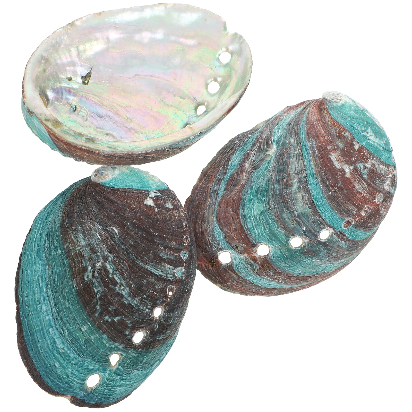 

3 Pcs Shell Decor 8-10cm Natural Seashell Smudge Kit Bowl for Burning Sage Abalone Shell Pieces Home Pet Supplies