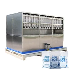 Eating Ice Making Machine Large Commercial Ice Maker 5tons Per Day for Selling Ice Cube To Hotel Restaurant Night Club