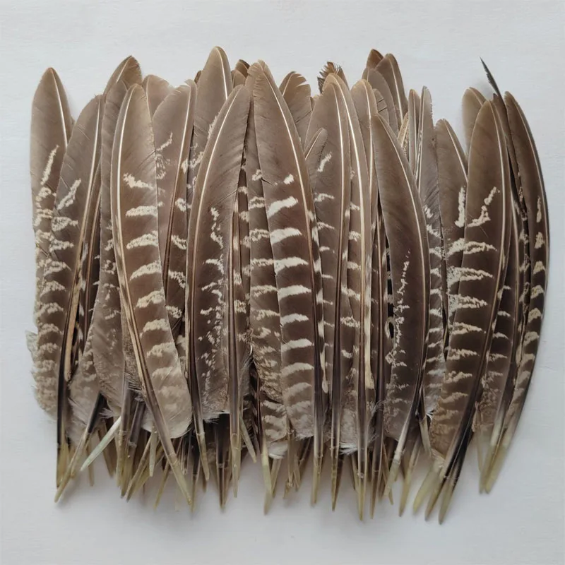 

200Pieces 6-8inches 15-20cm long COCK Ringneck PHEASANT QUILL WING FEATHERS. FLY TYING .ART&CRAFT,JEWELLERY,FLORAL.