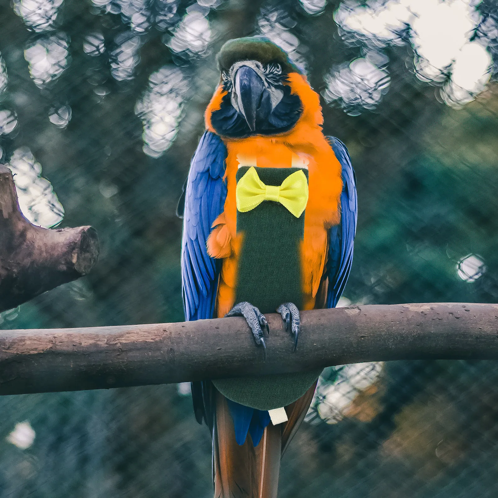 

Adjustable Bird Diaper Harness Pet Apparel Parrot Flight Suit Cotton Diapers for Parakeets Cockatiels Lightweight Travel